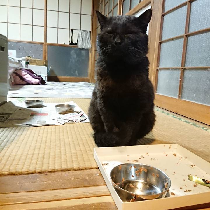 A9b98f19 c019 41ff 9354 19ebd4dc1722 1619094981061