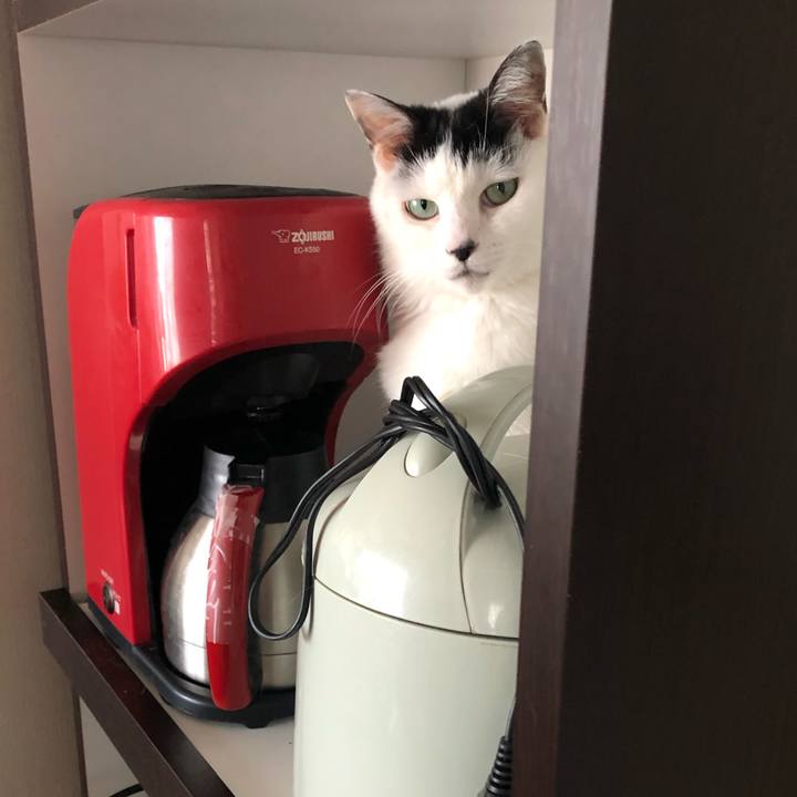 A9b9d7c5 1cc4 48d7 9300 4b6af6a6fc8a 1603927993275