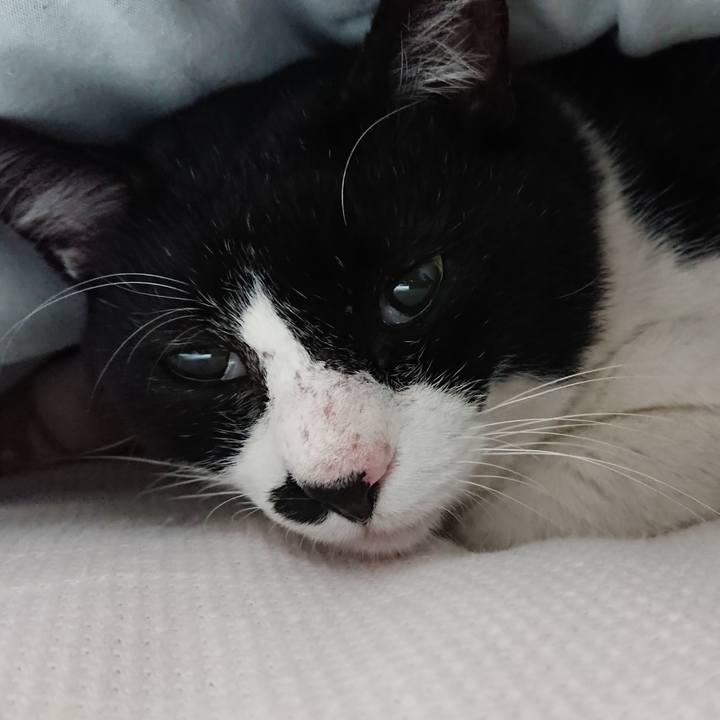 A9ba085a 1421 4268 803f 82f25a61acbd 1540303775034