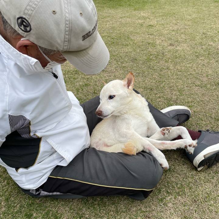 A9ba18ef 37d8 4b5f ae53 143a18ba0ba6 1679479414317