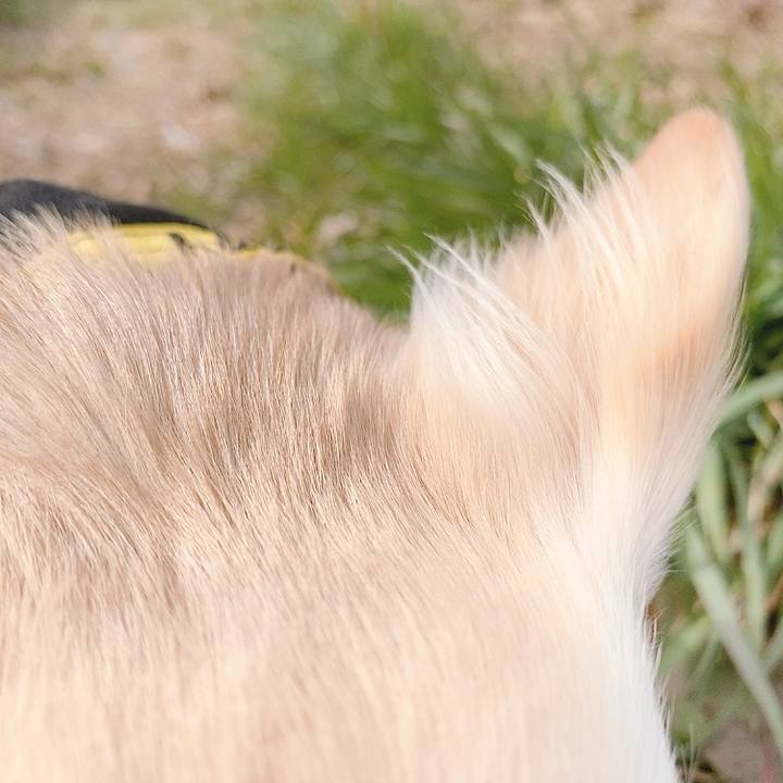 A9ba2c54 6e01 4239 a604 091f86bfadf1 1614581435659