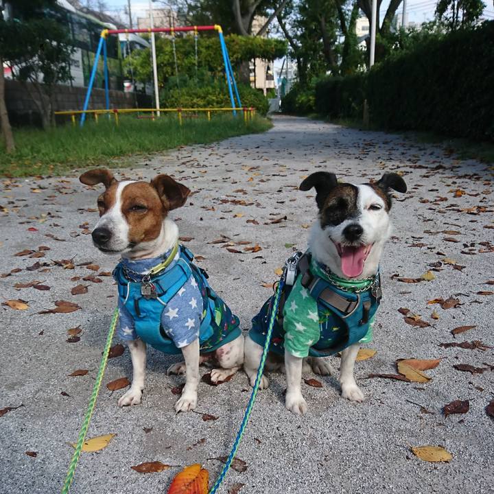 A9ba600d f794 49cd 9c83 643fbe71b8cf 1602547497320