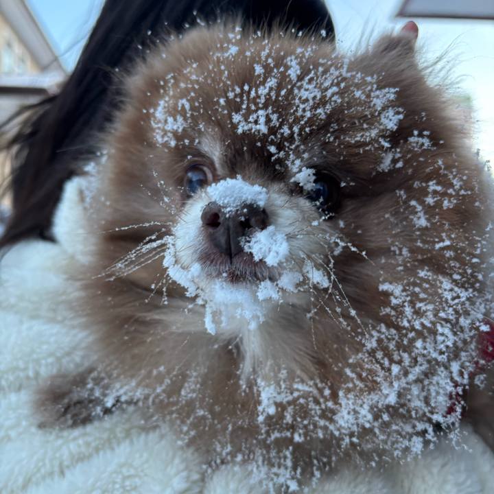 A9ba85f9 745e 4bd6 9575 59d65400afc9 1764932021296