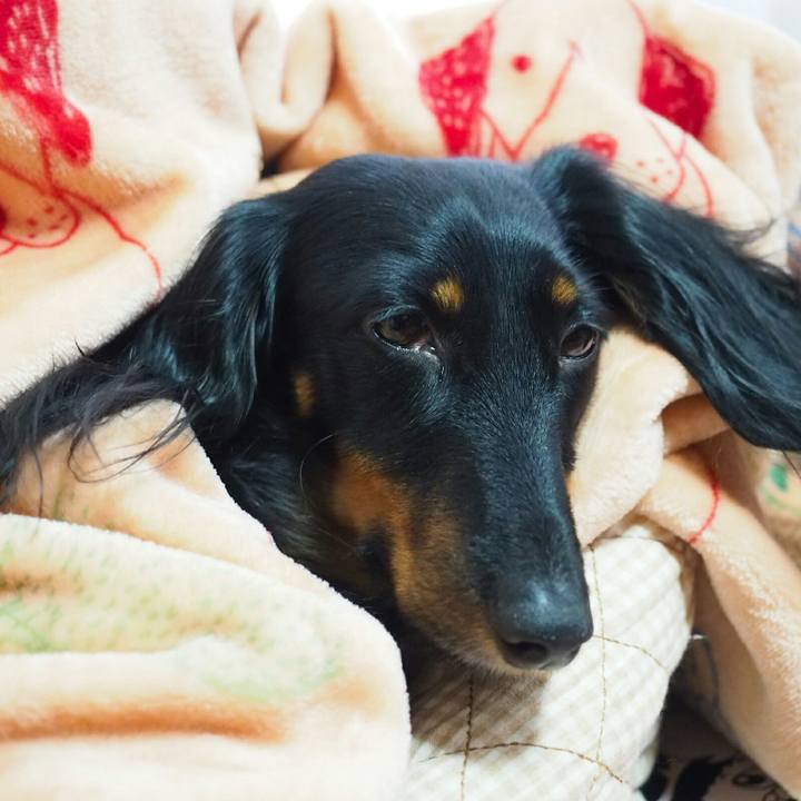 A9ba9807 f50e 4406 87f8 57a878b1f286 1509518291199