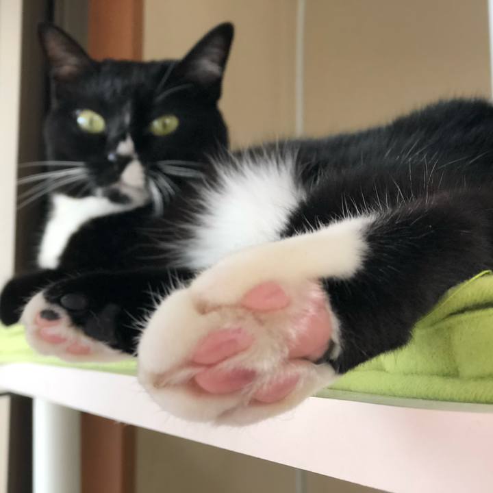 A9bab090 7653 4aef 89e4 d07193460427 1563602336642