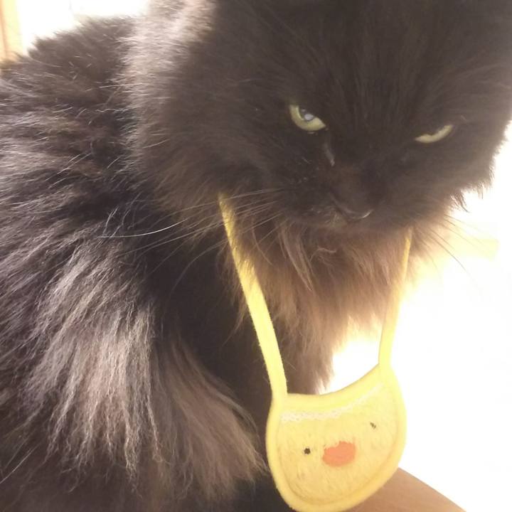 A9bae9b4 868b 40f7 bcaa c8d5f04ba735 1574840242017