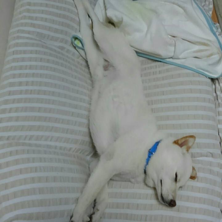 A9bb2951 6f67 43e4 b59b a87981549fcd 1525953699943