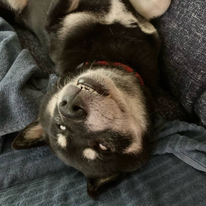 A9bb7fdd 0700 42ee a05b d210872dc46e 1664422793442