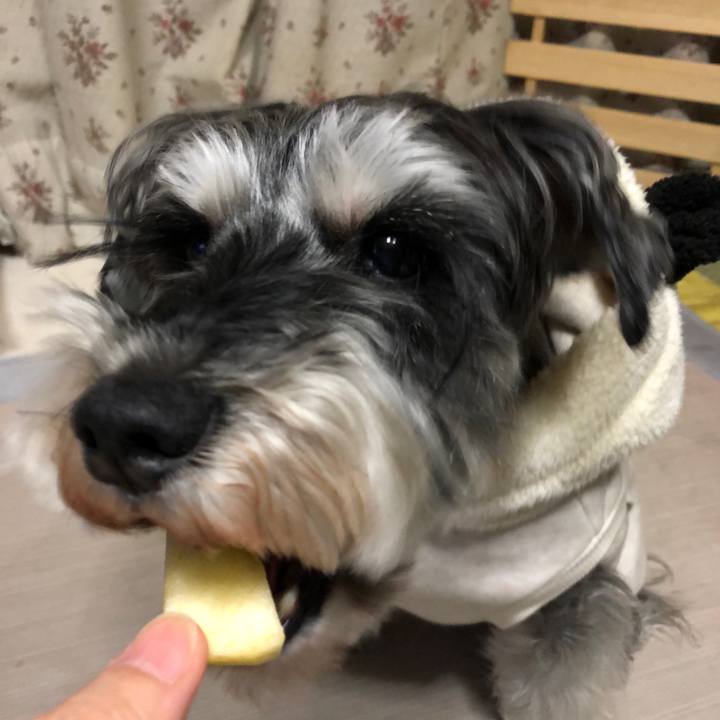 A9bb810b 9b99 4203 bccf d35e3fe32df5 1646824182431