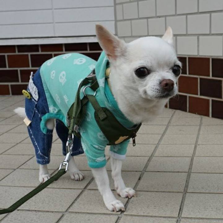 A9bba4fa 5c85 4a6f 8b7d 6829231b1929 1523915629601