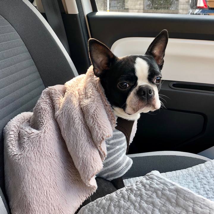 A9bbcc0f 52b4 4bcc 8a65 03f5dbb5db58 1550056972471