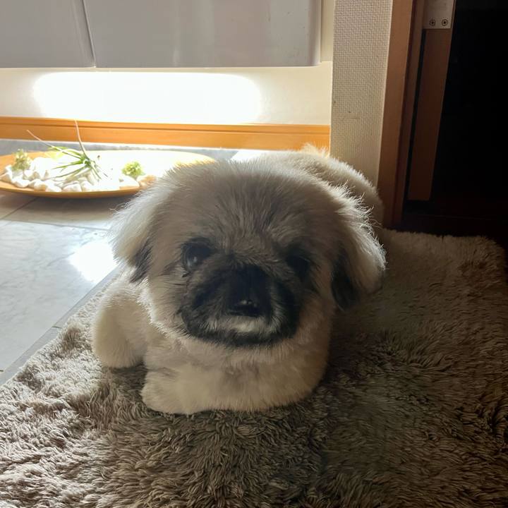 A9bbf661 21b5 4a28 a730 ce947bc9f46d 1728213712603