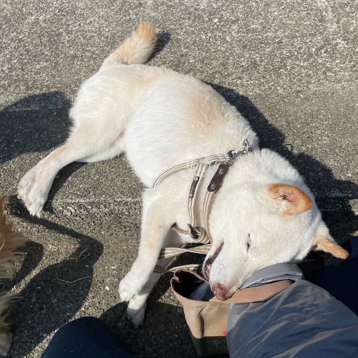 A9bbfe32 ceb6 4b1a 91d1 5a60f294c0d4 1646921107581