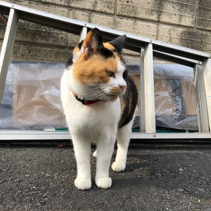 A9bbffe8 ca37 4bb0 8a9a fada1f9d1134 1609361103206