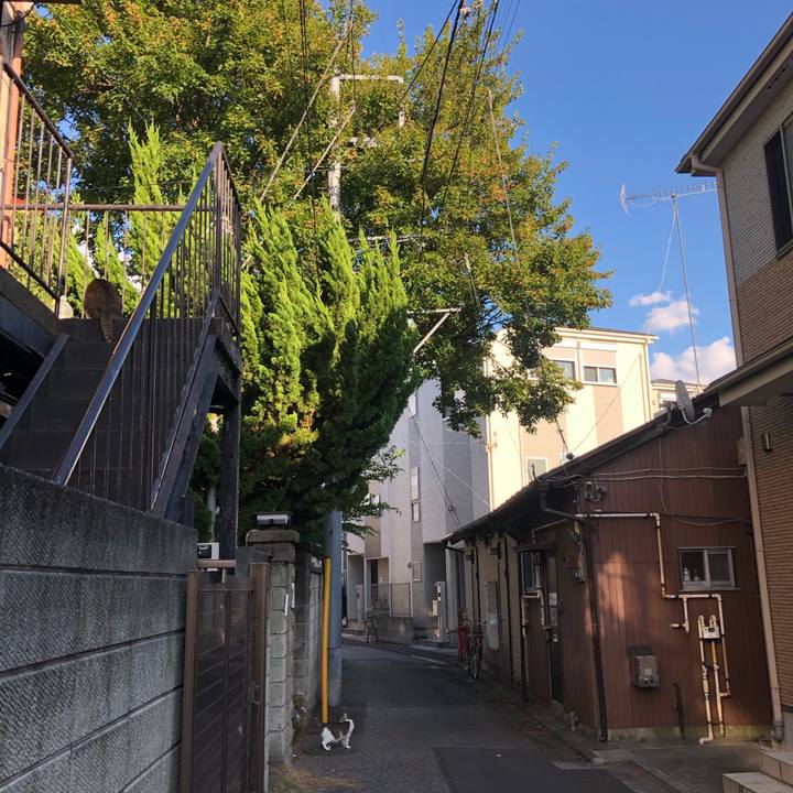 A9bc0c59 6365 49ae 9a62 d13ae659a1ca 1601366446967