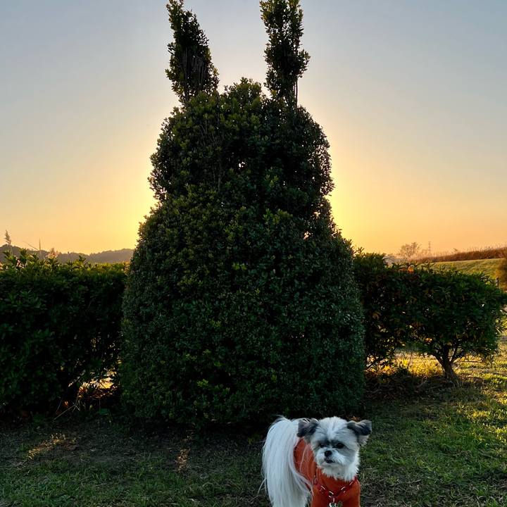 A9bc1457 0038 45eb b2a5 ccb76917f953 1702348691418