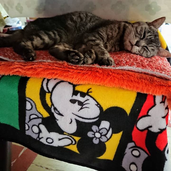 A9bc2036 82db 430c 8f28 6984955daa61 1553924474161