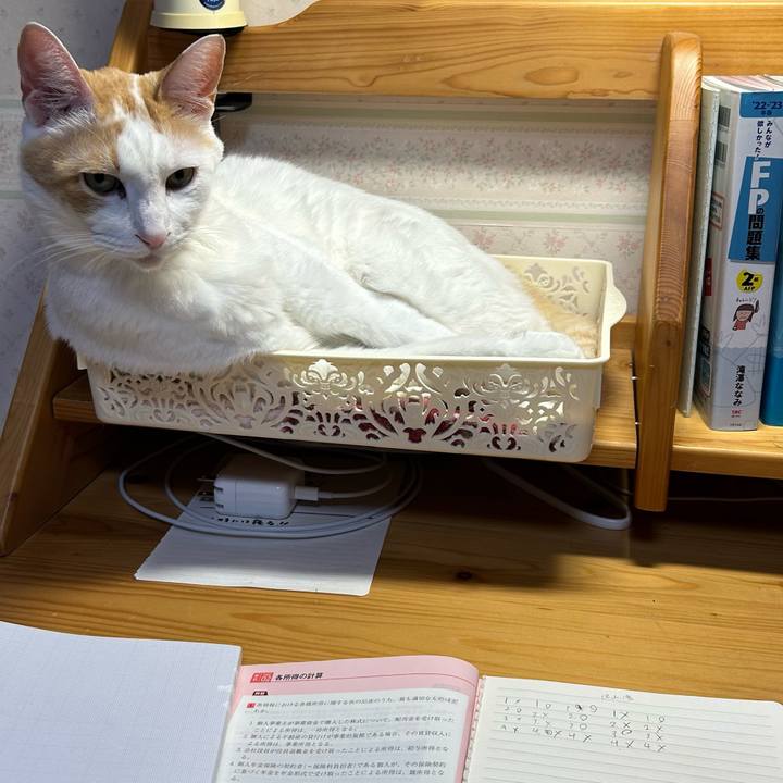 A9bc2744 72d0 49e8 8065 4612be55155e 1674904181294