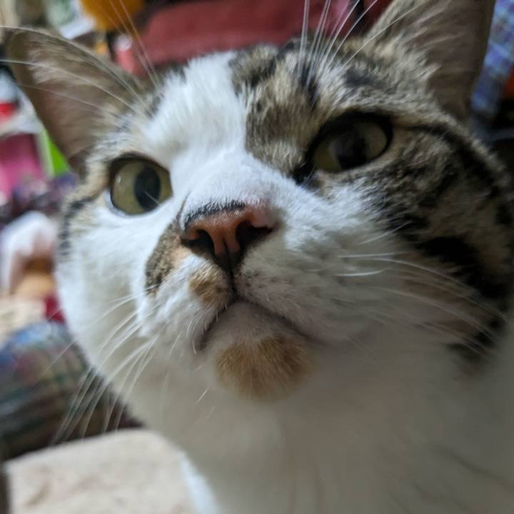 A9bc2f89 92df 4c97 96fa 050f4a44eaec 1695888351556