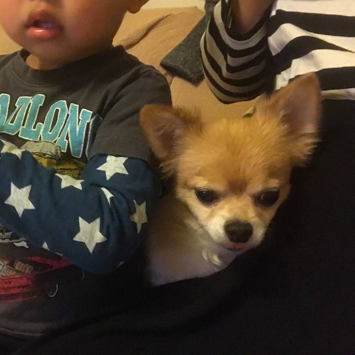 A9bc3275 bceb 42d9 9664 361ccda8c8d1 1508497406479