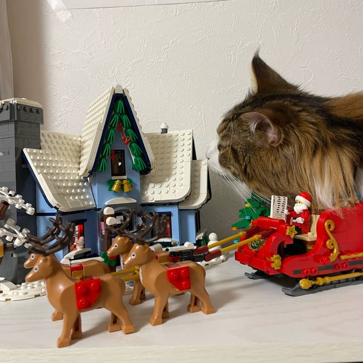 A9bc7787 1f4b 4024 b3f6 97c0ef7cc4e1 1671195827415