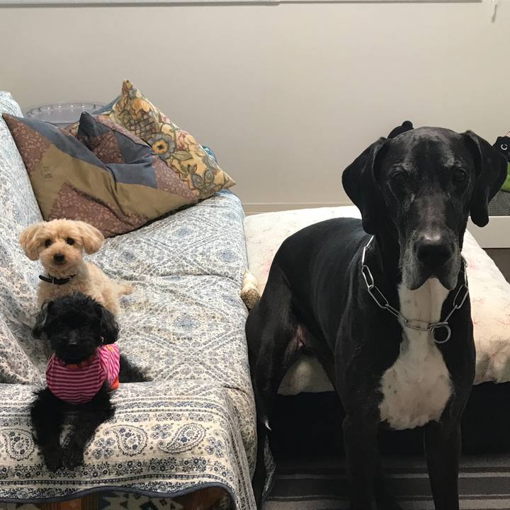 A9bc9152 4fea 47d6 8a30 39f99c3cfb81 1525733263578