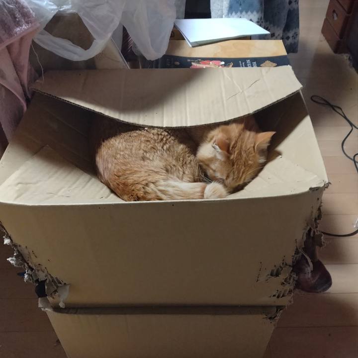 A9bc9511 ee53 4563 b93f 03cd938cc335 1683435666957