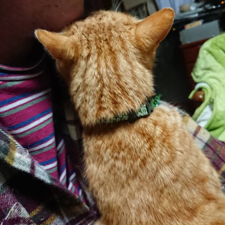 A9bcb8da cc48 4548 8b4b a145aabbd574 1582574335308