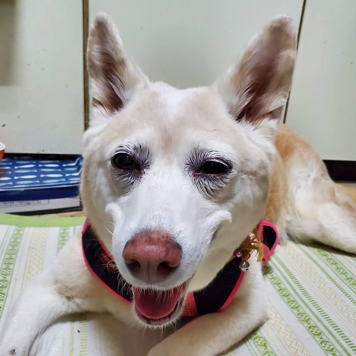 A9bcf339 be37 4980 aa77 1816f83db83c 1665497149520