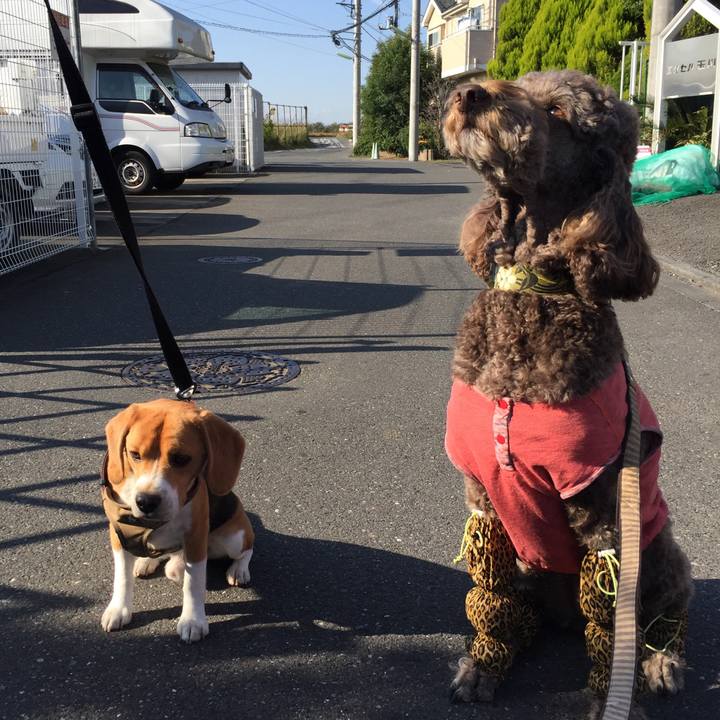 A9bd0705 75ec 4933 b05b 5a87fc9bb5e3 1510896523523