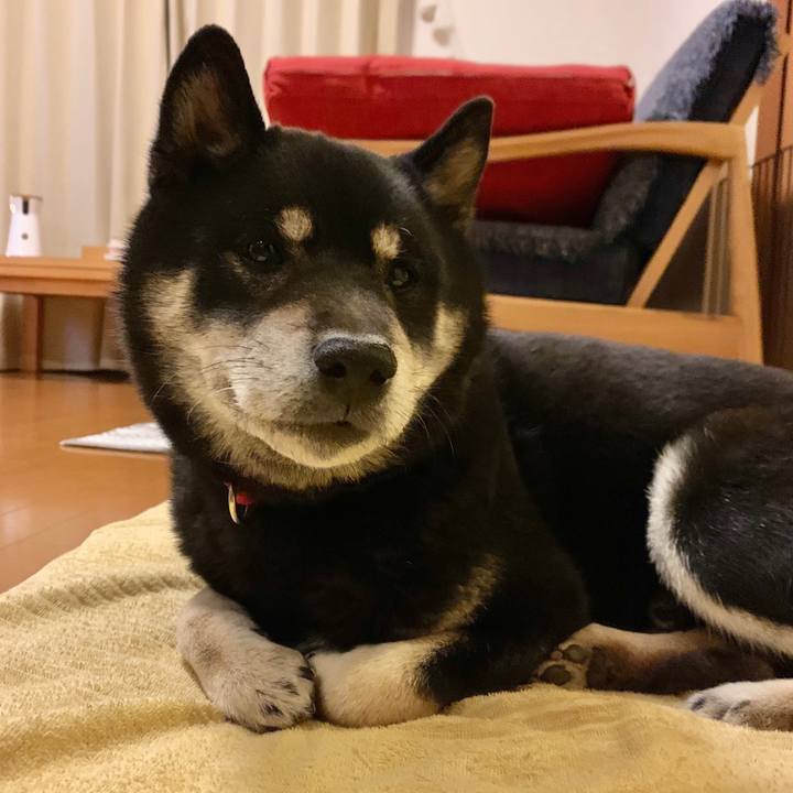 A9bd14f0 59f7 45f5 b4a7 2455fd54859b 1613658601052