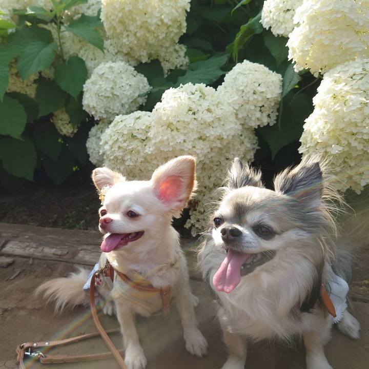 A9bd480f 79ad 42ab 98bc 1d71211584cb 1687266484063