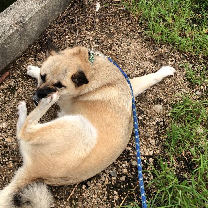 A9bd5c78 7aa0 4da3 98cf 93db99ff0c40 1563623151683