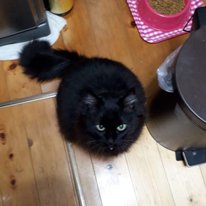 A9bd6295 8b15 46c2 9f37 9544f2b433f8 1521399213890