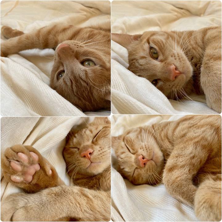 A9bd6dee 3e49 490f 9bd6 60570bb57ea5 1653799815515