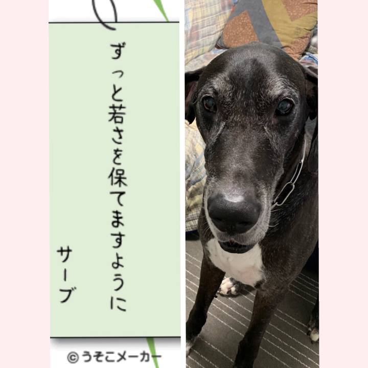 A9bdc8a6 a9b0 4e77 a0fb c68811d845e0 1562469690332