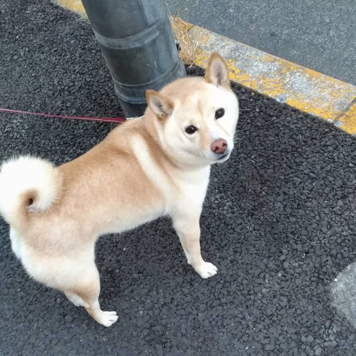 A9bddee7 0990 4a0b b261 f7d4c760c0a5 1610753982705