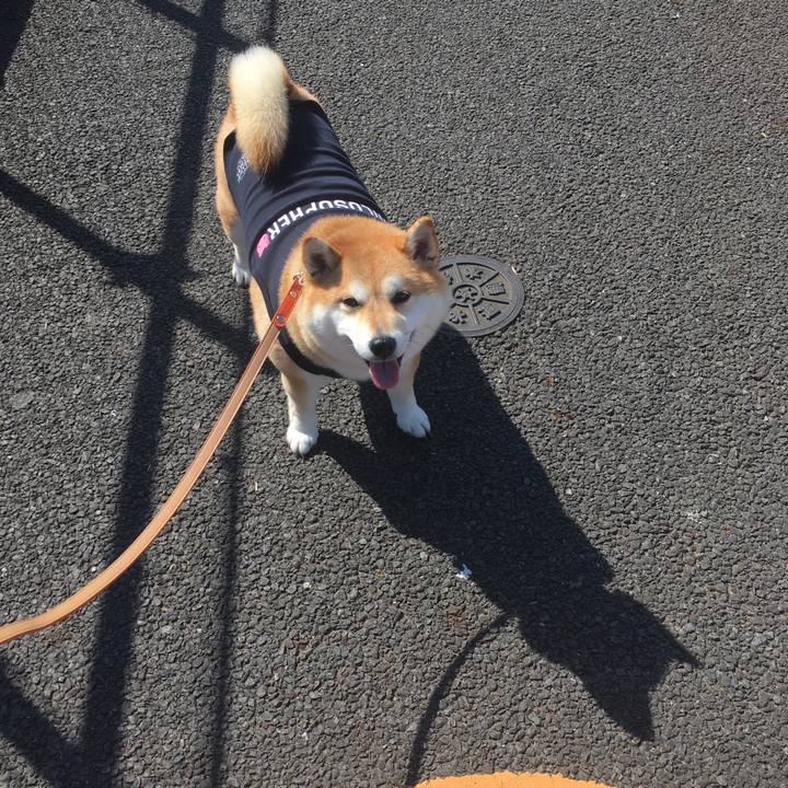 A9be1379 7f37 435e 9aeb 2277ce2cbe7f 1552104592974