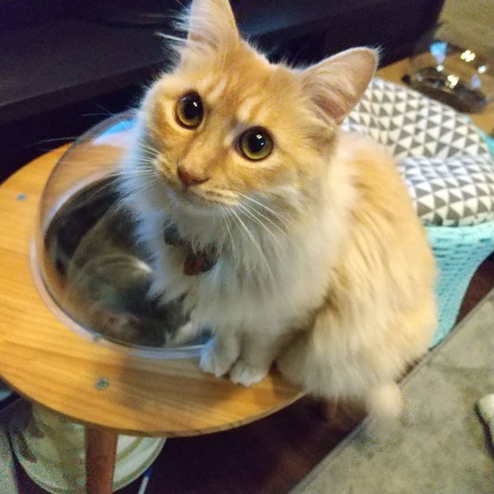 A9be1958 b81f 4343 89a7 1d91d43dc095 1647822340168