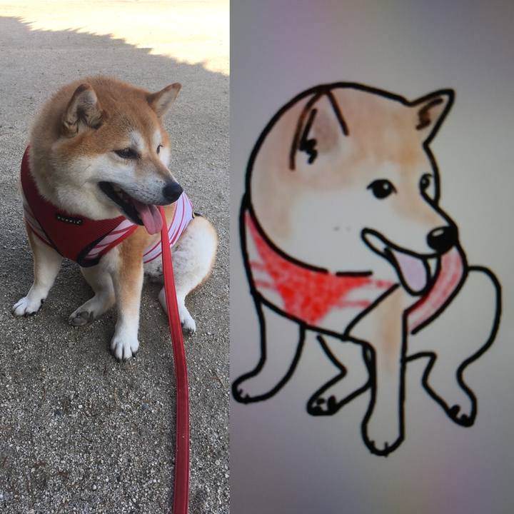 A9be1eef a365 4f5a b9c8 c8f792d25418 1597383711069