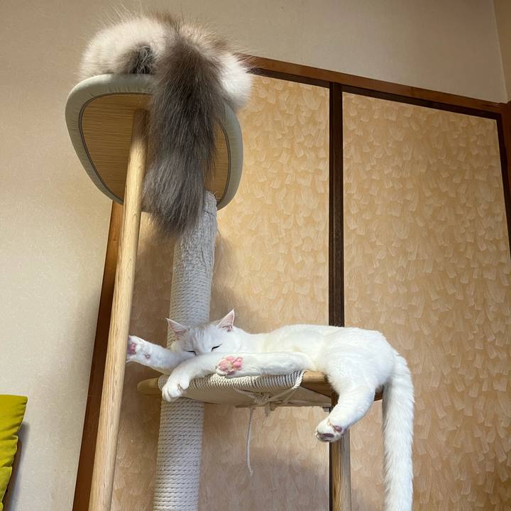 A9be23b4 4625 4b83 b08e 8133ee488777 1727869349369