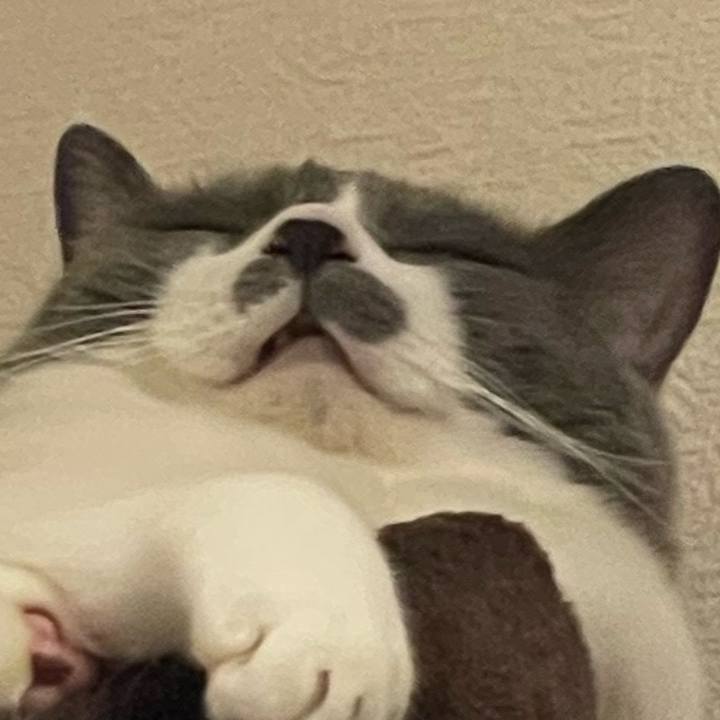 A9be3ea3 a874 4435 a31c 4fd0636d70f0 1750183571012