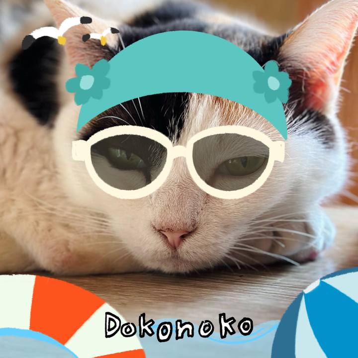 A9be5be3 ccb9 4386 9d03 309306f2ac40 1723251440738