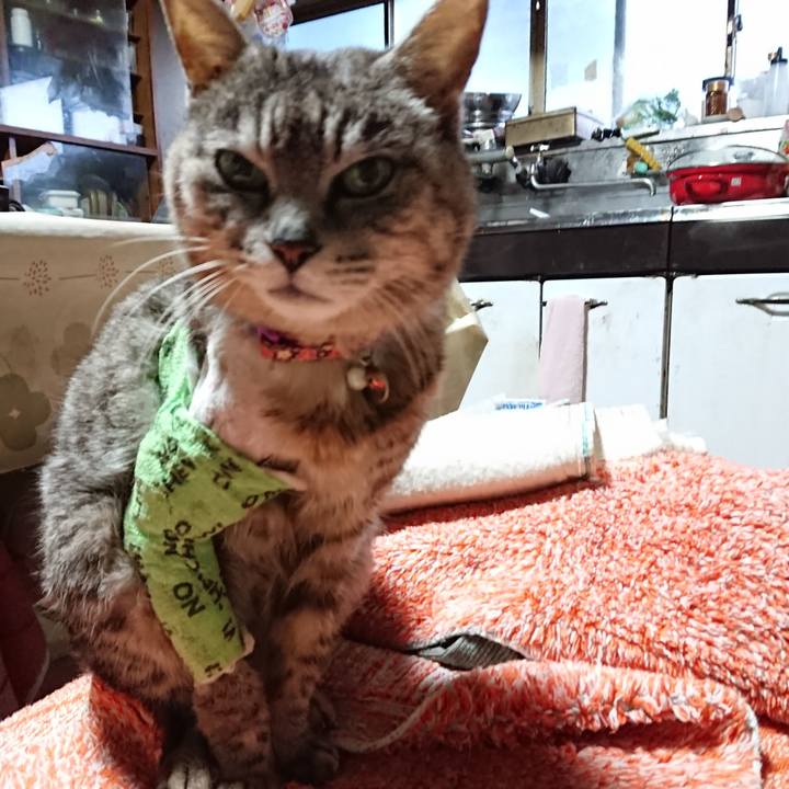 A9be605d 49f3 4d3e 8d21 1333809eb334 1587413738129