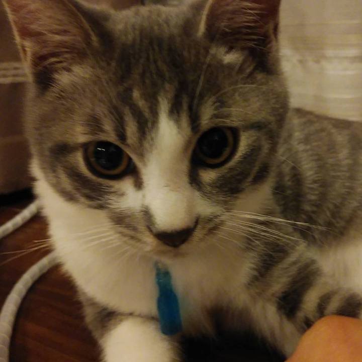 A9be7bc2 37a4 445e aab1 7400ea3d920d 1566050667374