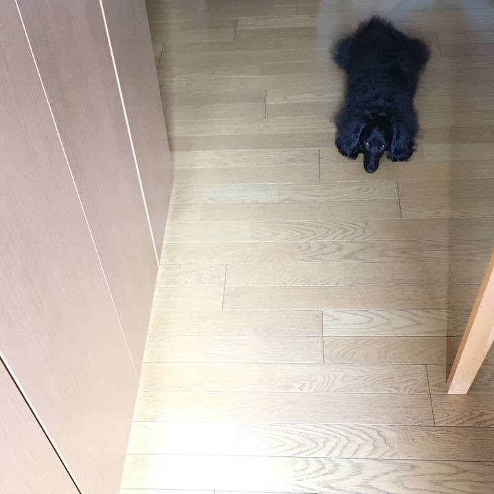 A9beb816 3a25 4b32 af5f 781e4b40d96f 1689640046700