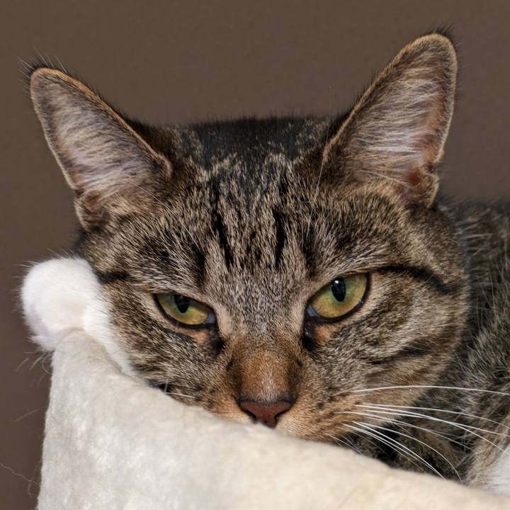 A9bec931 0a90 45d7 9727 863130975fb2 1694946636407