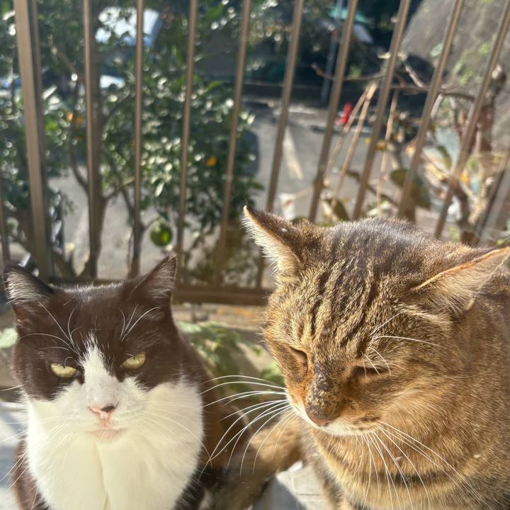 A9bed919 1c6f 440a 8106 7de3f40e215d 1763177925128