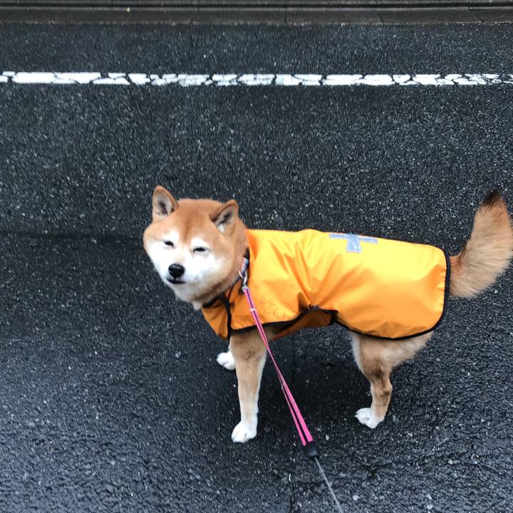 A9beeb29 632e 43bc 98ab 3795feaa59f9 1517663561216