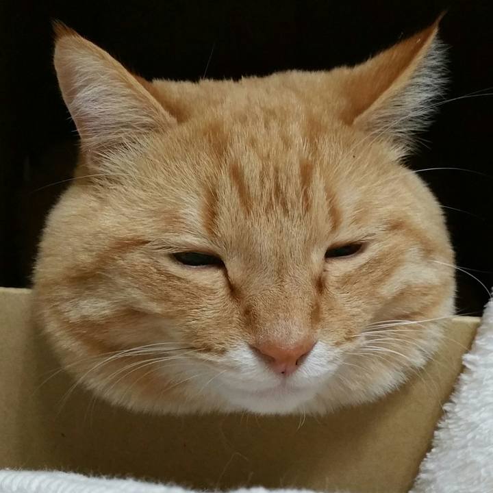 A9beff4c d58c 4d51 b1d1 e25783503499 1519602372857